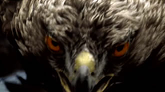 Panasonic Viera - Spot
